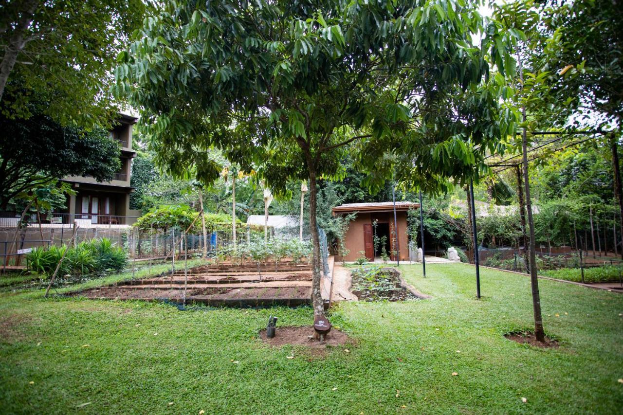 Hotel Kalu'S Hideaway Udawalawe Exterior foto